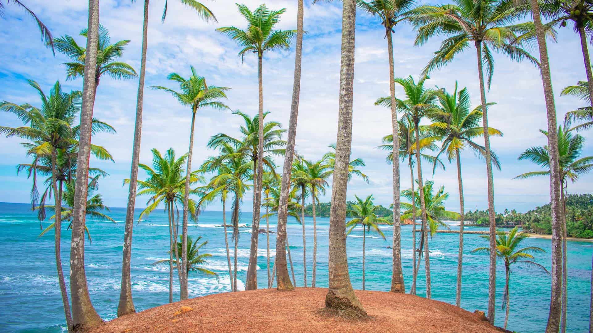 GoCeylon Taxi – Sri Lanka Taxi & Airport Transfer Service 3 mirissa things to do 1