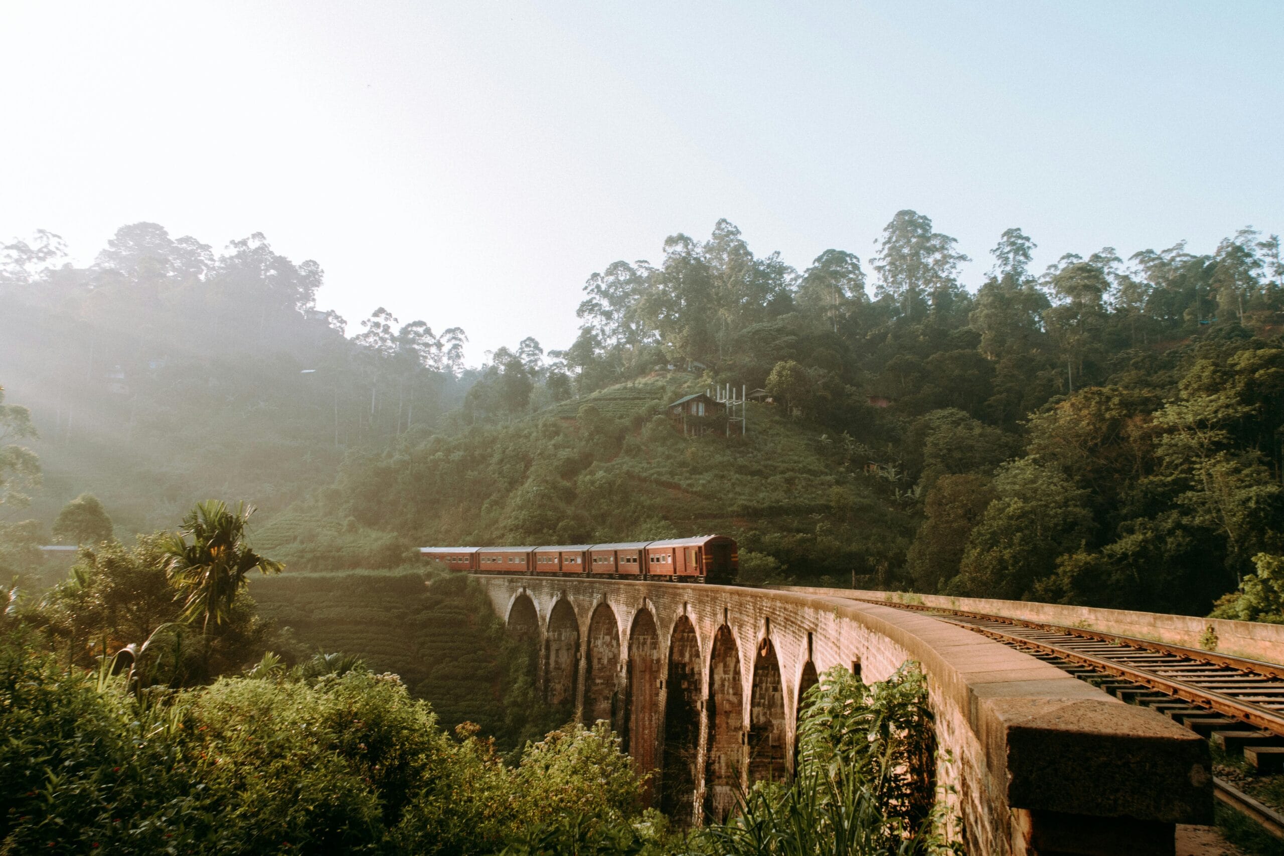 GoCeylon Taxi – Sri Lanka Taxi & Airport Transfer Service 2 pexels genine alyssa pedreno andrada 1263127 2403209 scaled