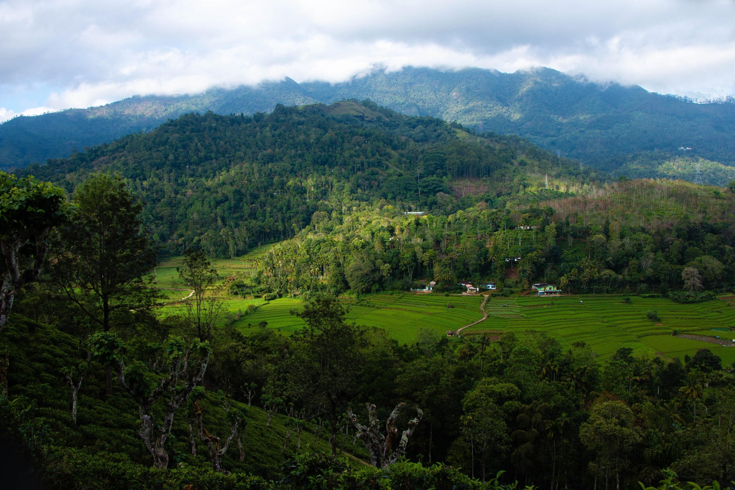 12 Most Underrated Tourist Destinations in Sri Lanka (2026) 1 most-underrated-tourist-destinations-in-sri-lanka